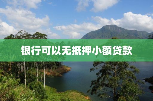 银行可以无抵押小额贷款