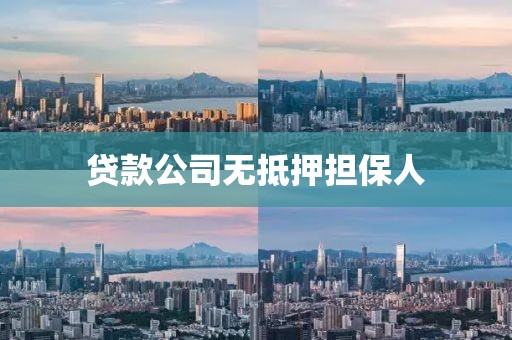 贷款公司无抵押担保人
