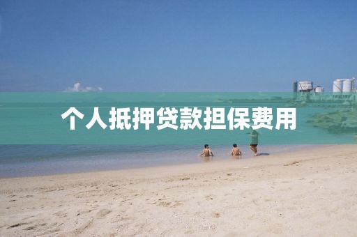 个人抵押贷款担保费用