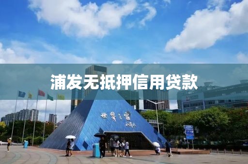 浦发无抵押信用贷款