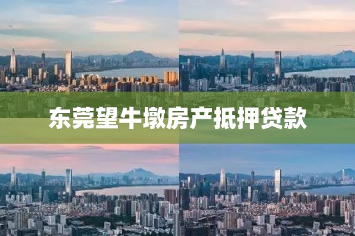东莞望牛墩房产抵押贷款