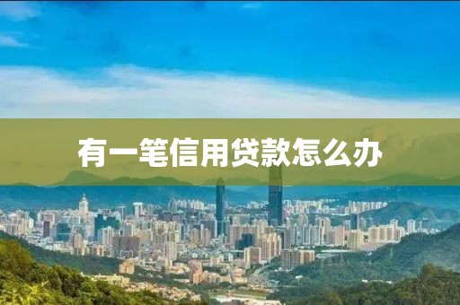 有一笔信用贷款怎么办