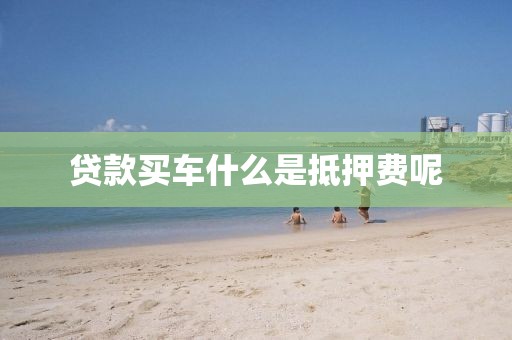 贷款买车什么是抵押费呢