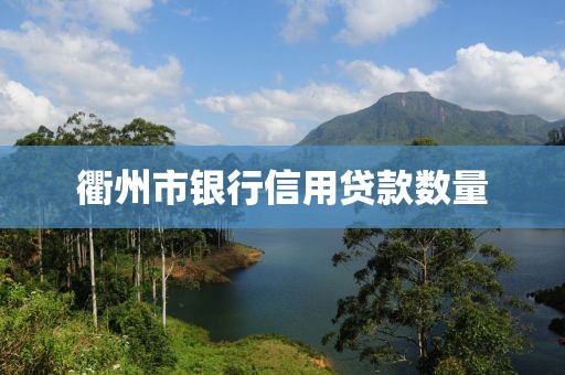 衢州市银行信用贷款数量
