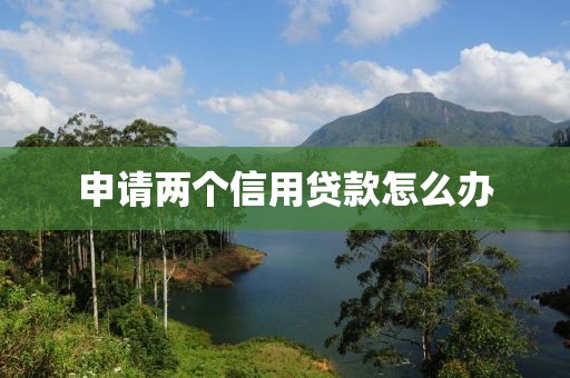 申请两个信用贷款怎么办