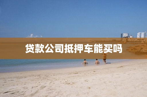 贷款公司抵押车能买吗