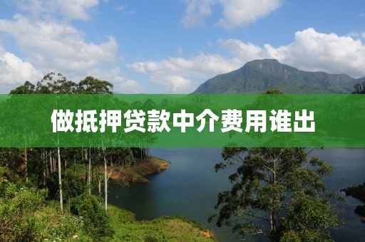 做抵押贷款中介费用谁出