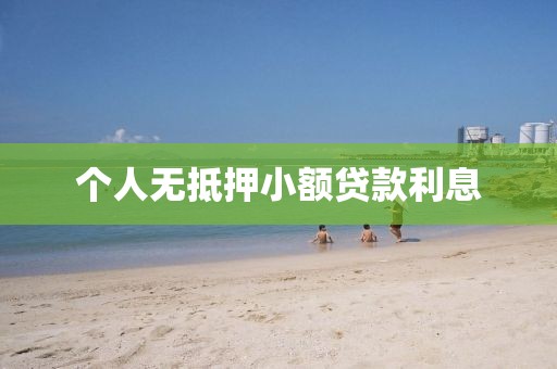 个人无抵押小额贷款利息