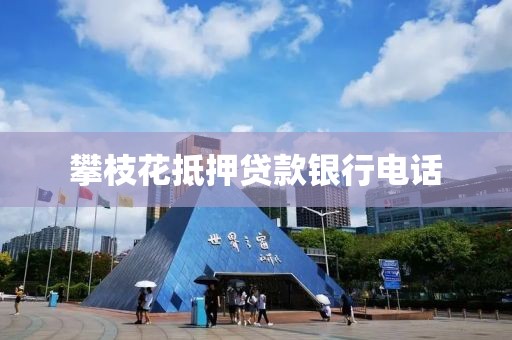 攀枝花抵押贷款银行电话