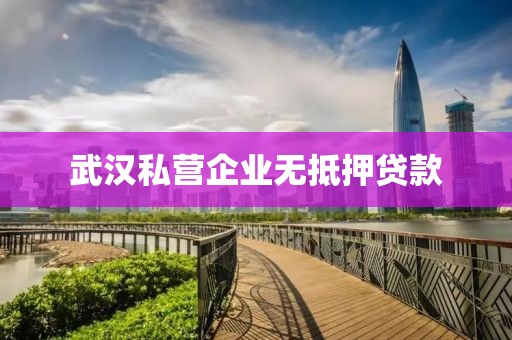 武汉私营企业无抵押贷款