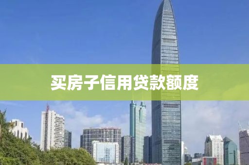 买房子信用贷款额度
