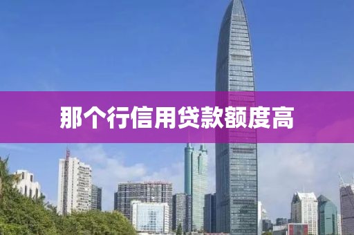 那个行信用贷款额度高