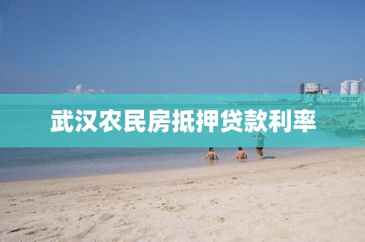 武汉农民房抵押贷款利率