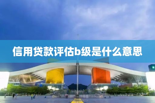 信用贷款评估b级是什么意思