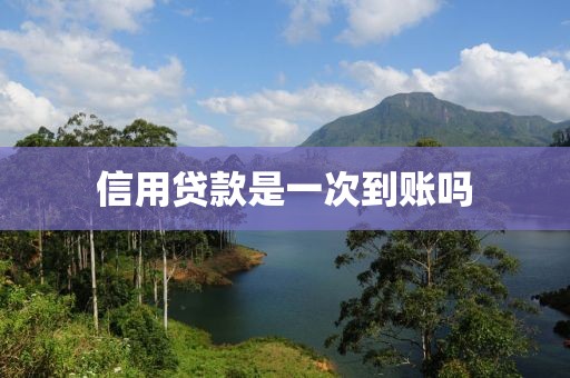 信用贷款是一次到账吗