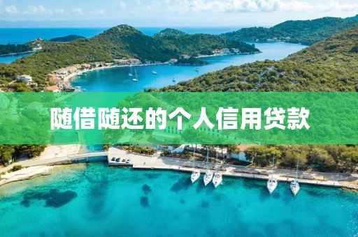 随借随还的个人信用贷款