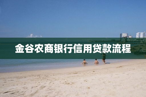 金谷农商银行信用贷款流程