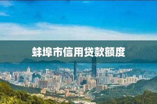 蚌埠市信用贷款额度