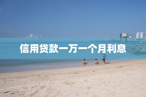 信用贷款一万一个月利息