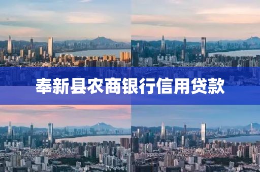 奉新县农商银行信用贷款
