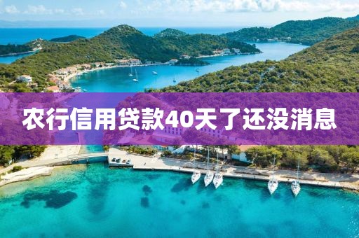 农行信用贷款40天了还没消息