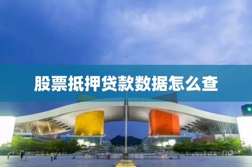 股票抵押贷款数据怎么查