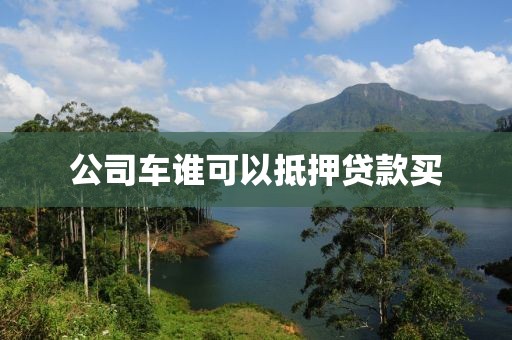 公司车谁可以抵押贷款买