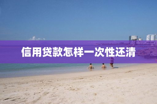 信用贷款怎样一次性还清