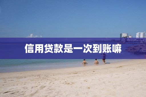 信用贷款是一次到账嘛