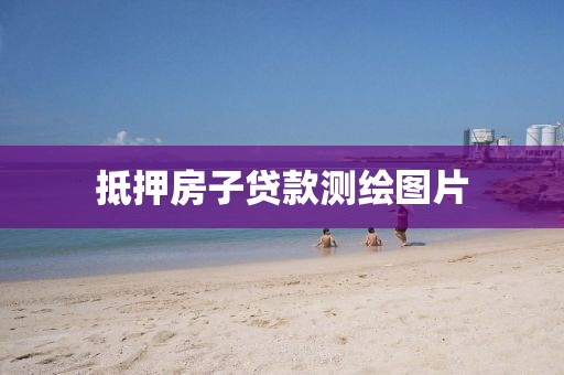 抵押房子贷款测绘图片