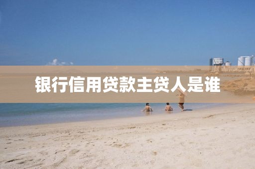 银行信用贷款主贷人是谁