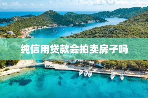 纯信用贷款会拍卖房子吗