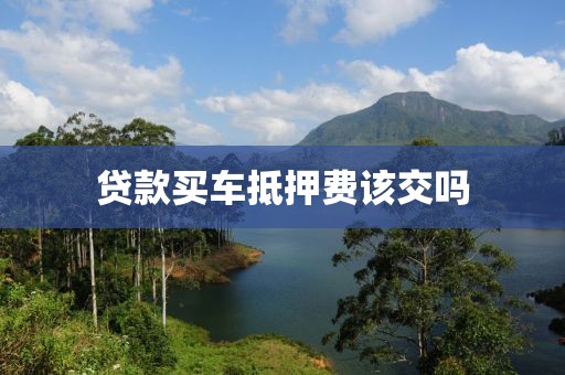 贷款买车抵押费该交吗