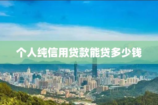 个人纯信用贷款能贷多少钱