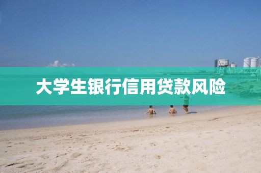 大学生银行信用贷款风险