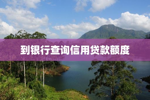到银行查询信用贷款额度