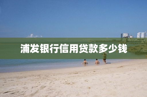 浦发银行信用贷款多少钱