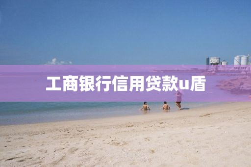 工商银行信用贷款u盾