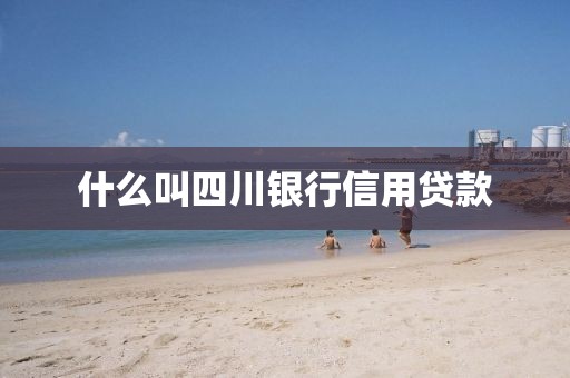 什么叫四川银行信用贷款