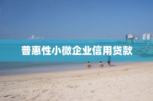 普惠性小微企业信用贷款