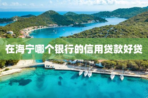 在海宁哪个银行的信用贷款好贷
