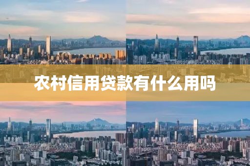 农村信用贷款有什么用吗