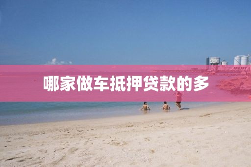 哪家做车抵押贷款的多