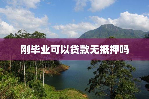 刚毕业可以贷款无抵押吗