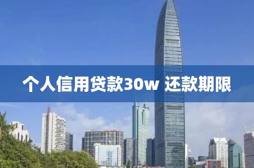 个人信用贷款30w 还款期限