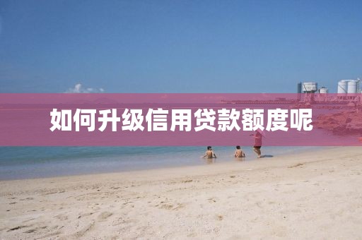 如何升级信用贷款额度呢