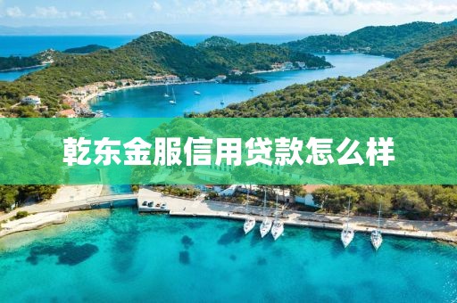 乾东金服信用贷款怎么样