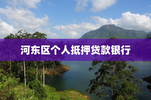 河东区个人抵押贷款银行