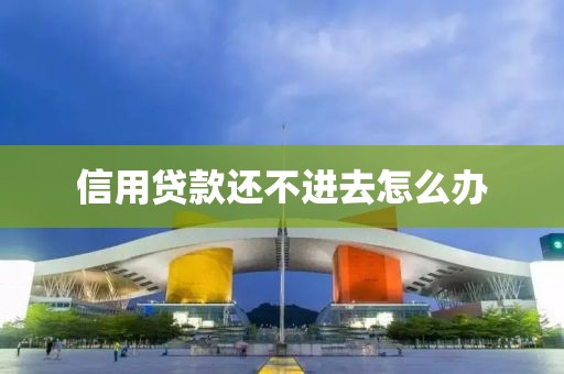 信用贷款还不进去怎么办