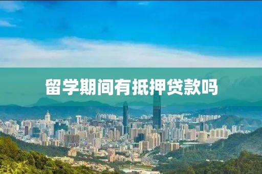 留学期间有抵押贷款吗